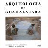 Arqueologia de Guadalajara, Institución provincial de cultura Marqués de Santillana